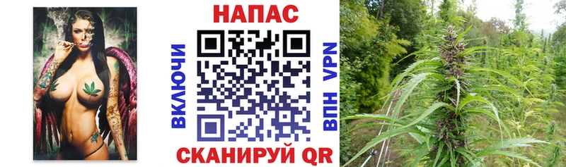 Купить закладку КОКАИН  Канабис  Меф мяу мяу  Галлюциногенные грибы  ГАШ  NBOMe  Alpha-PVP  Озёры