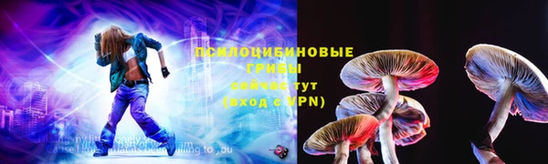 шишки Нязепетровск