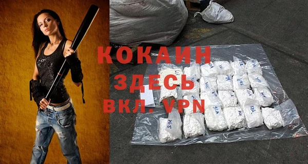 шишки Нязепетровск
