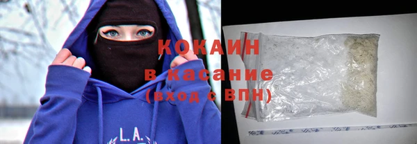 шишки Нязепетровск