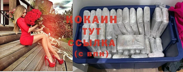 прущие грибы Няндома