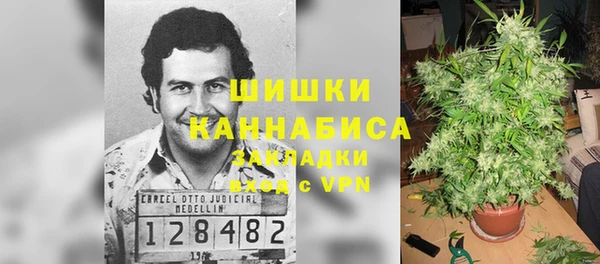 ПСИЛОЦИБИНОВЫЕ ГРИБЫ Нягань