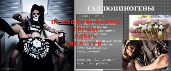 кристаллы Осинники