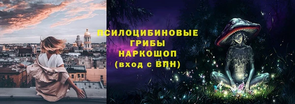 прущие грибы Няндома