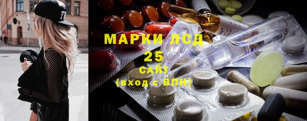 шишки Нязепетровск