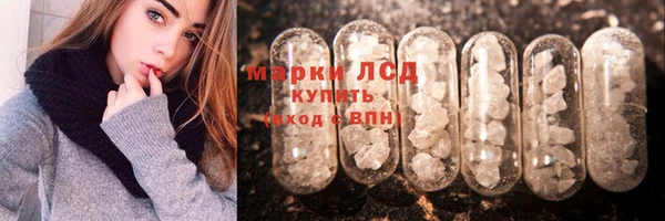 прущие грибы Няндома