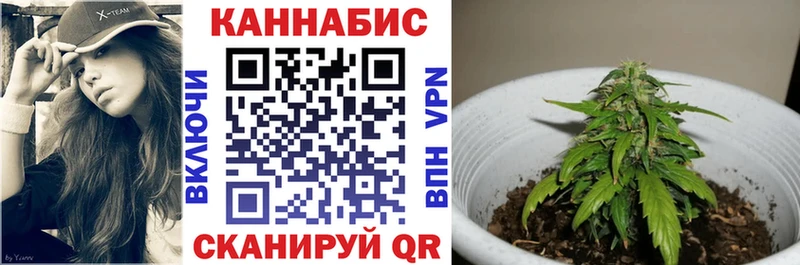 Шишки марихуана ГИДРОПОН  Купить где  Озёры 